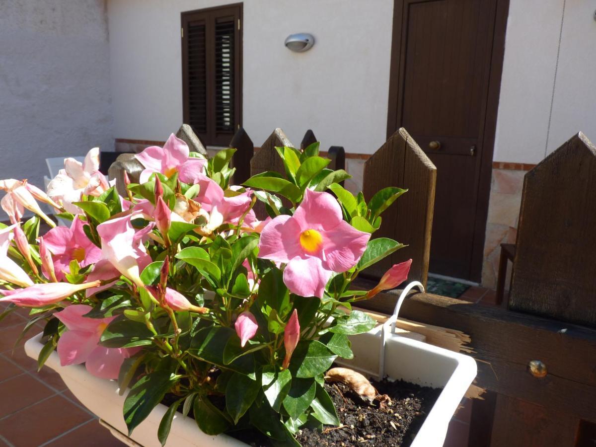 Villa Rosa Luxury Apartment Монделло Экстерьер фото